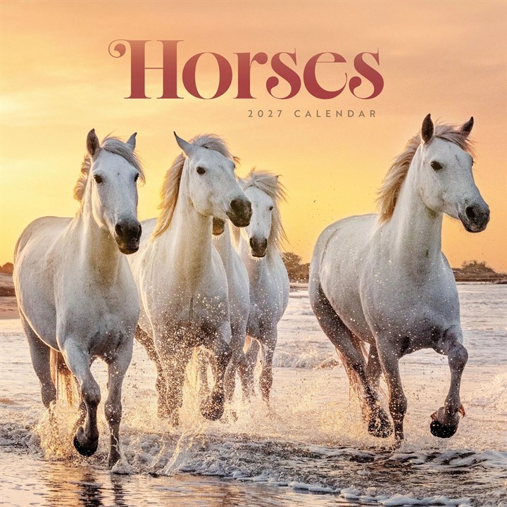 Horses Calendar 2027
