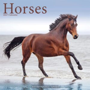 Horses Calendar 2027