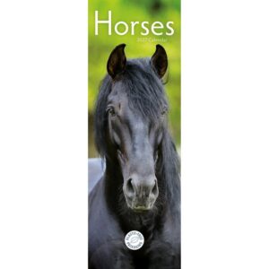 Horses Slim Calendar 2027