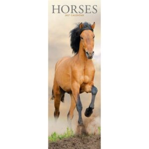 Horses Slim Calendar 2027
