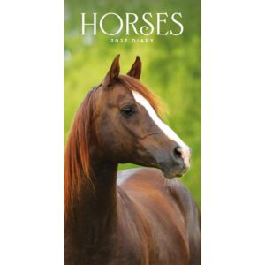 Horses Slim Diary 2027