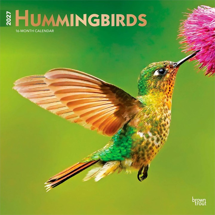 Hummingbirds Calendar 2027