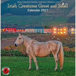 Irish Creatures Great & Small Mini Calendar 2027