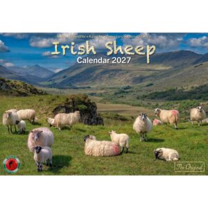 Irish Sheep A4 Calendar 2027