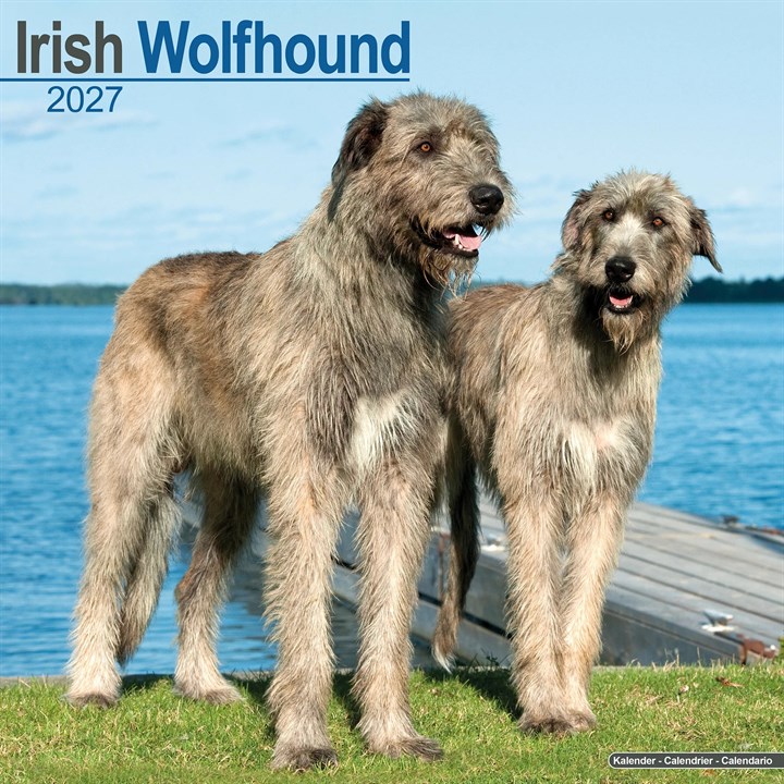 Irish Wolfhound Calendar 2027