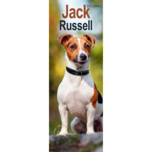 Jack Russell Slim Calendar 2027