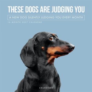 Judgemental Dogs Calendar 2027
