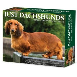 Just Dachshunds Desk Calendar 2027
