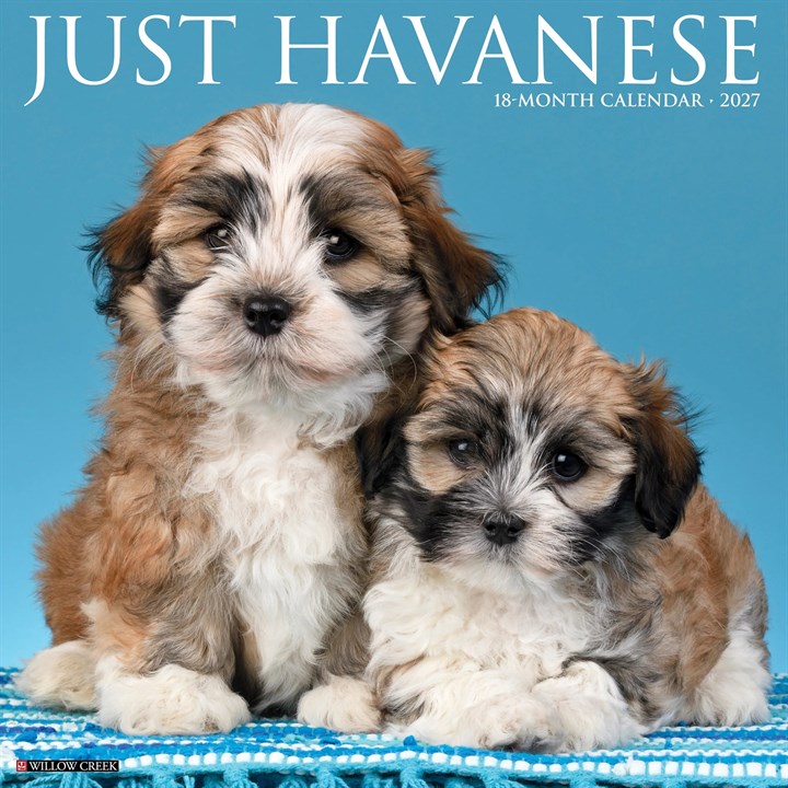 Just Havanese Calendar 2027