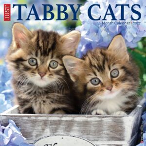 Just Tabby Cats Calendar 2027