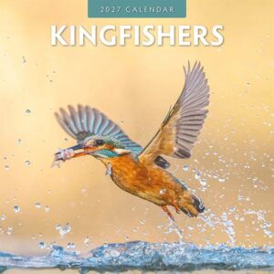 Kingfishers Calendar 2027