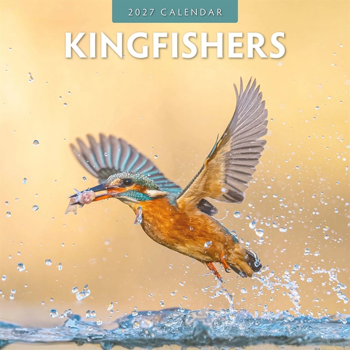 Kingfishers Calendar 2027