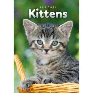 Kittens A5 Diary 2027