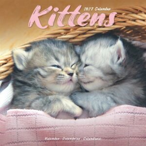 Kittens Calendar 2027