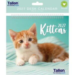 Kittens Easel Desk Calendar 2027