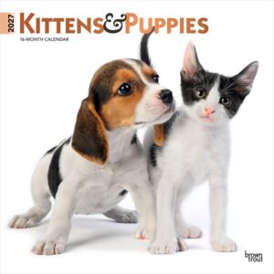 Kittens & Puppies Calendar 2027