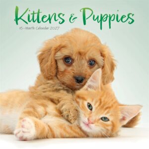 Kittens & Puppies Mini Calendar 2027