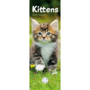 Kittens Slim Calendar 2027