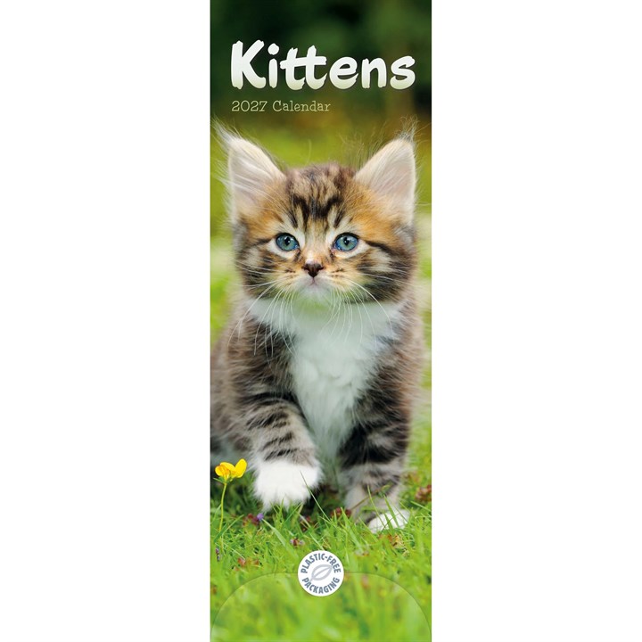 Kittens Slim Calendar 2027