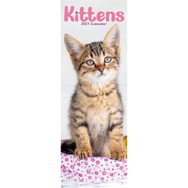 Kittens Slim Calendar 2027
