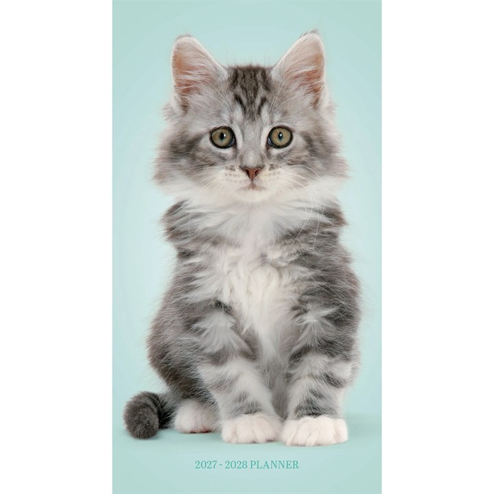 Kittens Slim Diary 2027 - 2028