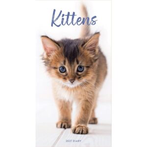 Kittens Slim Diary 2027
