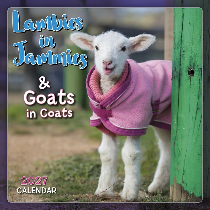 Lambies In Jammies Mini Calendar 2027