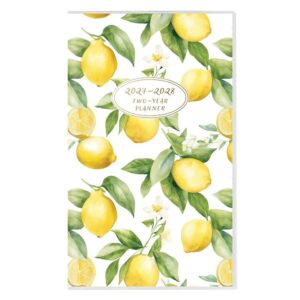 Lemon Monthly Slim Diary 2027 - 2028