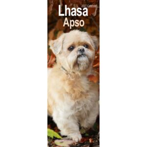 Lhasa Apso Slim Calendar 2027