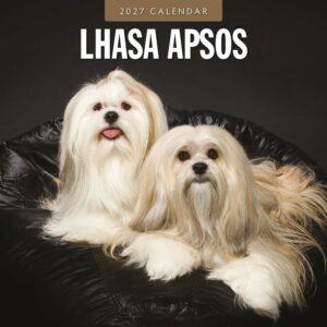 Lhasa Apsos Calendar 2027