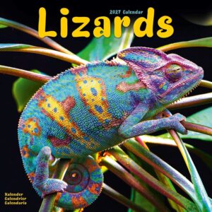Lizards Calendar 2027