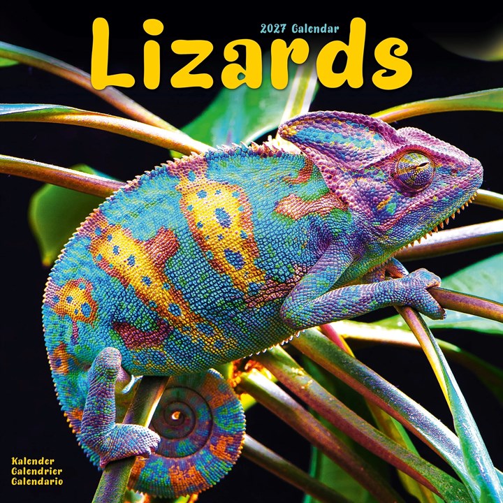 Lizards Calendar 2027