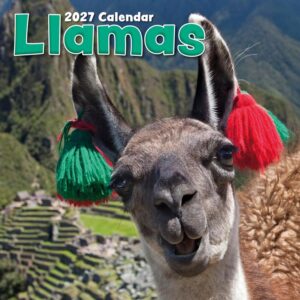 Llamas Calendar 2027