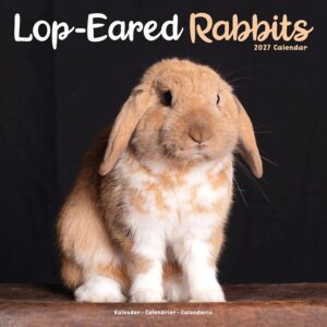 Lop-Eared Rabbits Calendar 2027