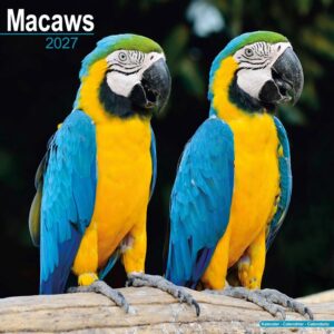 Macaws Calendar 2027