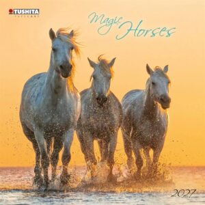 Magic Horses Calendar 2027
