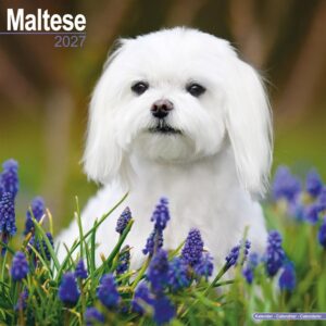 Maltese Calendar 2027