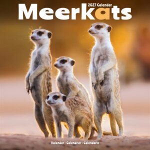 Meerkats Calendar 2027