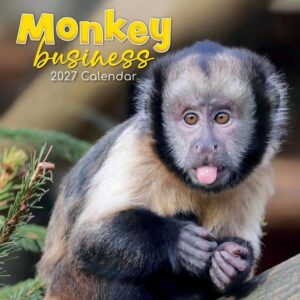 Monkey Business Calendar 2027