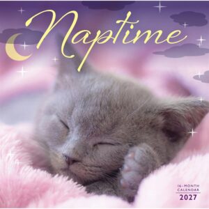 Naptime Cats Calendar 2027