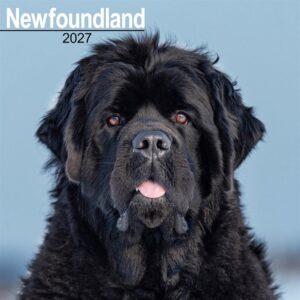 Newfoundland Calendar 2027