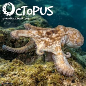 Octopus Calendar 2027