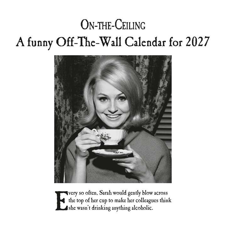 On-The-Ceiling Calendar 2027