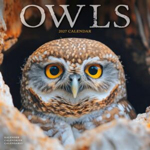 Owls Calendar 2027