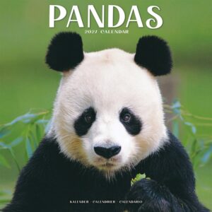 Pandas Calendar 2027