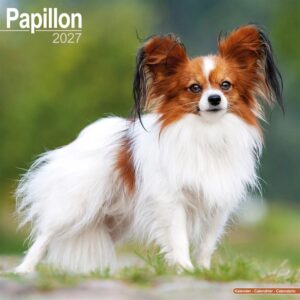 Papillon Calendar 2027