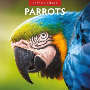 Parrots Calendar 2027