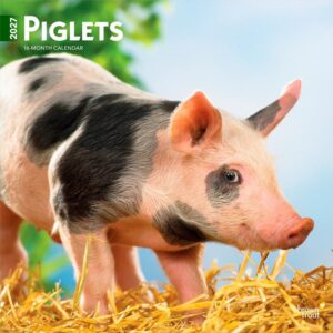 Piglets Calendar 2027