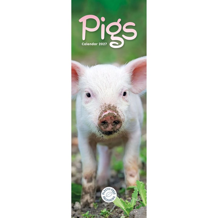 Pigs Slim Calendar 2027