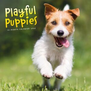 Playful Puppies Calendar 2027